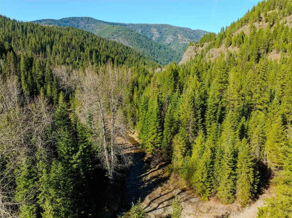 Nhn Pilgrim Creek Road Noxon MT 59853