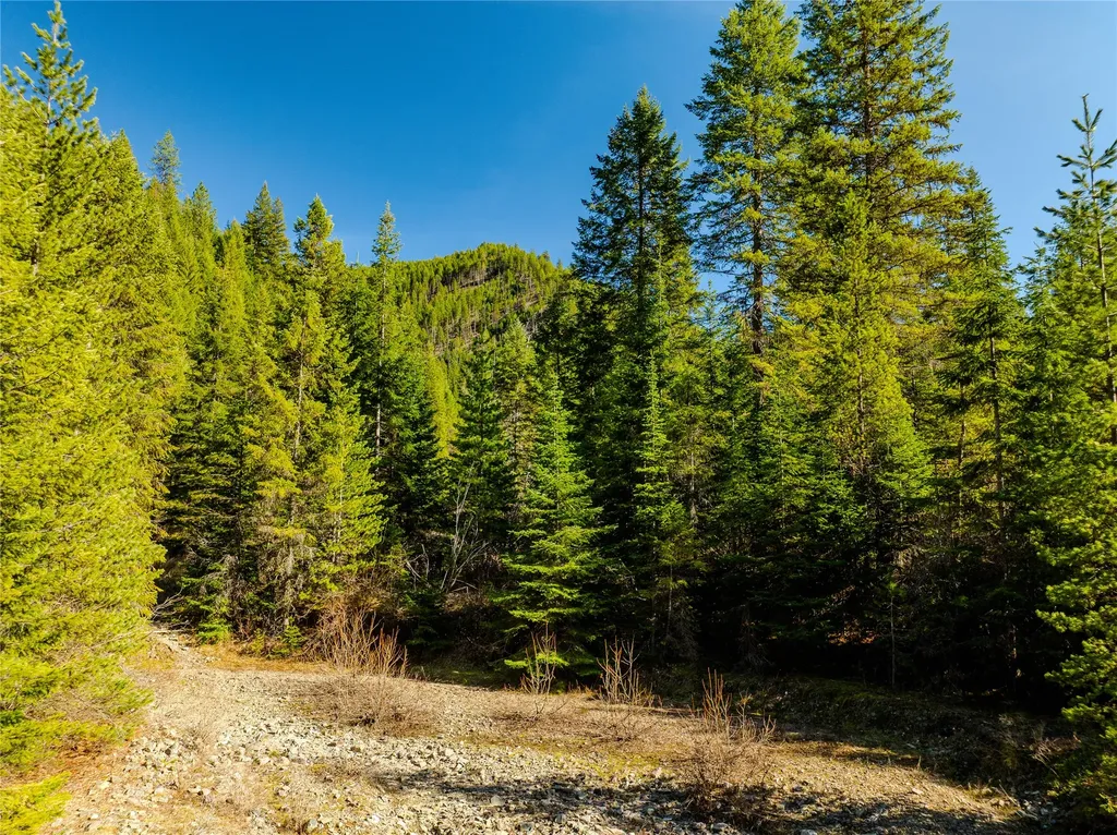 Nhn Pilgrim Creek Road Noxon MT 59853