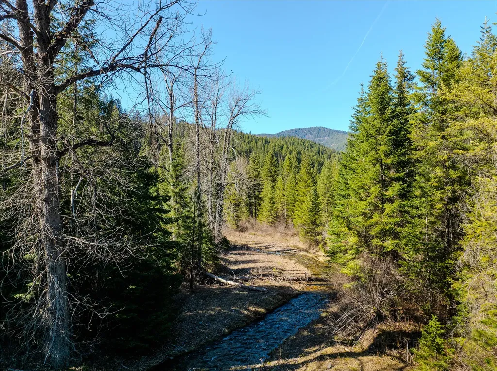 Nhn Pilgrim Creek Road Noxon MT 59853