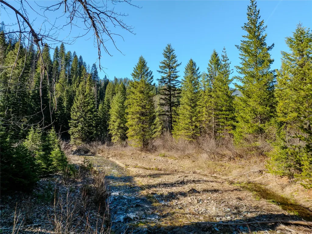 Nhn Pilgrim Creek Road Noxon MT 59853