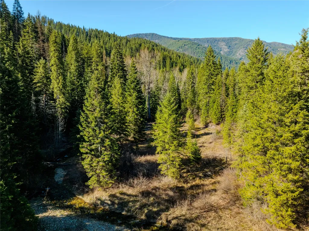 Nhn Pilgrim Creek Road Noxon MT 59853