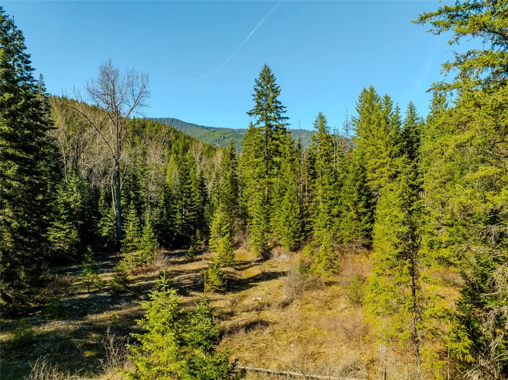 Nhn Pilgrim Creek Road Noxon MT 59853