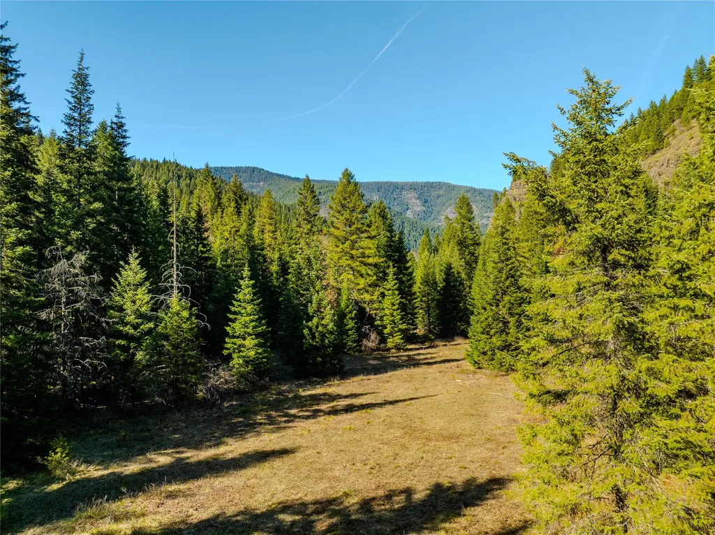 Nhn Pilgrim Creek Road Noxon MT 59853