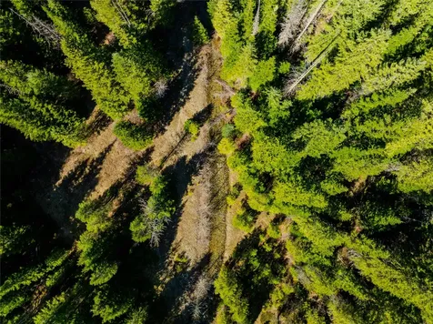 Nhn Pilgrim Creek Road Noxon MT 59853