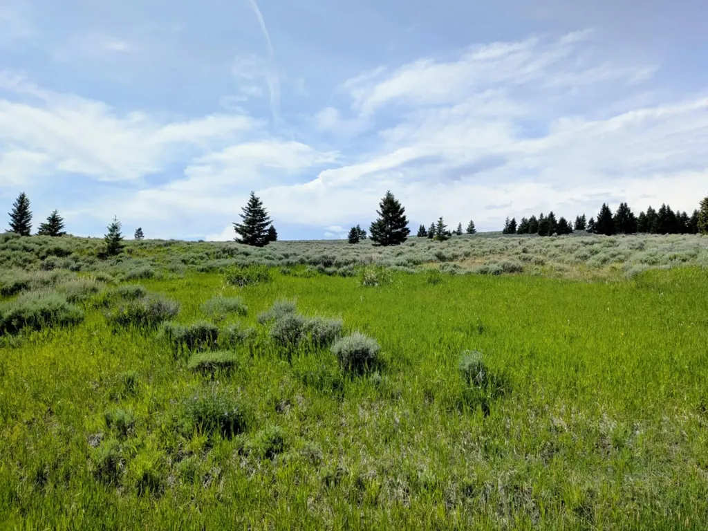 127 Panorama Drive White Sulphur Springs MT 59645