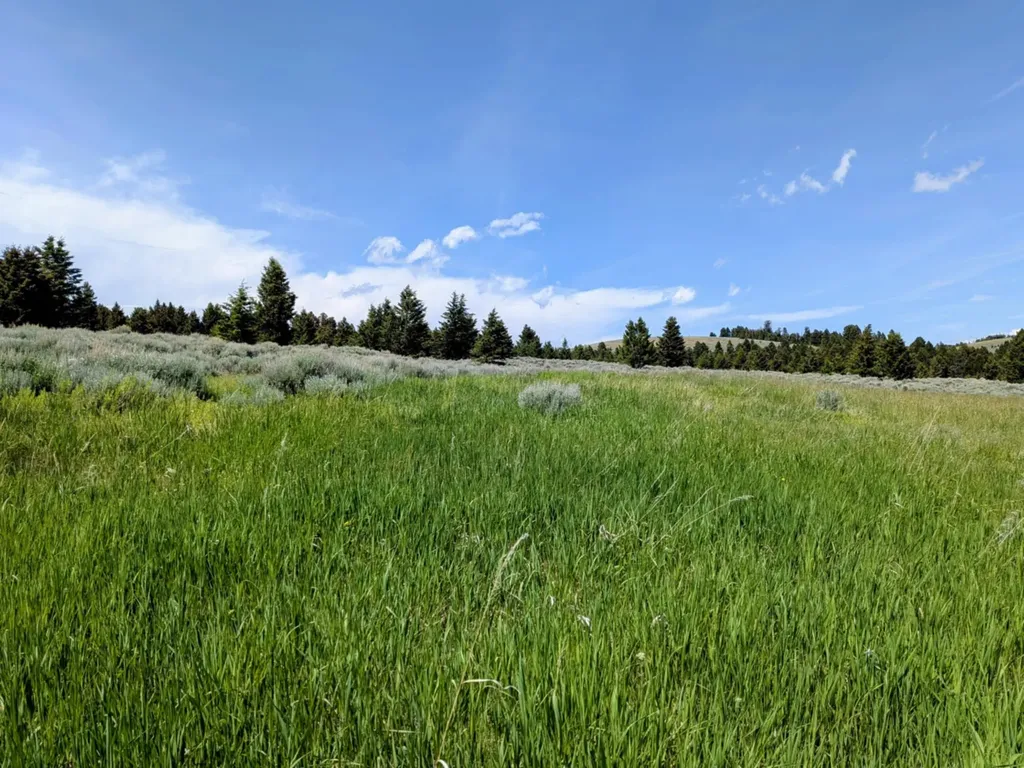 127 Panorama Drive White Sulphur Springs MT 59645