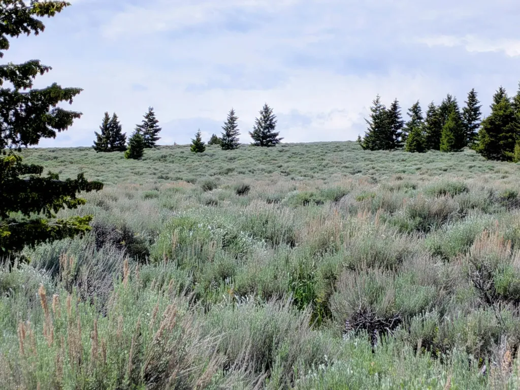 127 Panorama Drive White Sulphur Springs MT 59645
