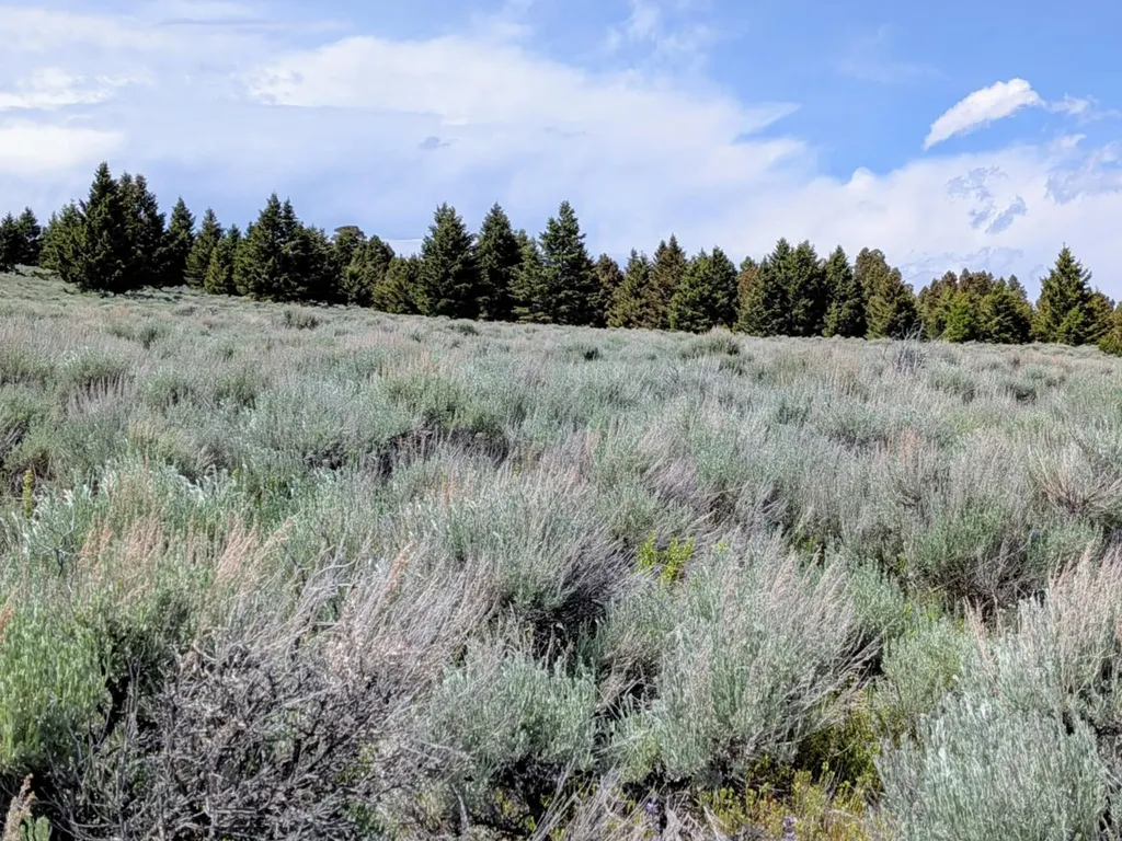 127 Panorama Drive White Sulphur Springs MT 59645