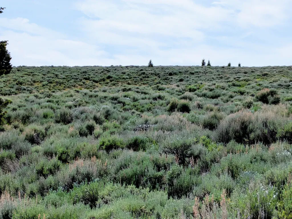127 Panorama Drive White Sulphur Springs MT 59645