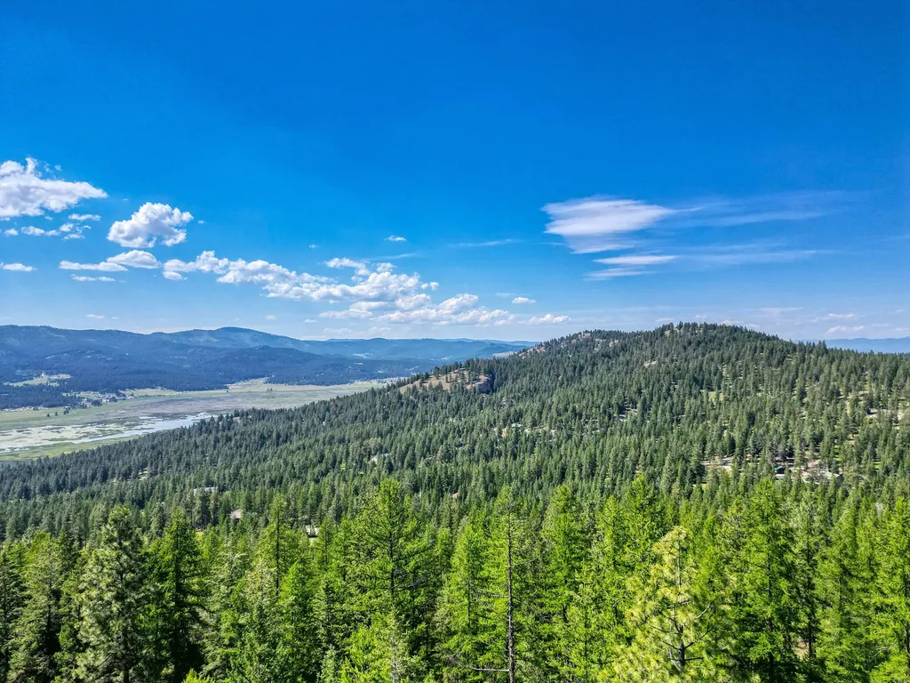 386 Racheals Meadow Lane Kila MT 59920