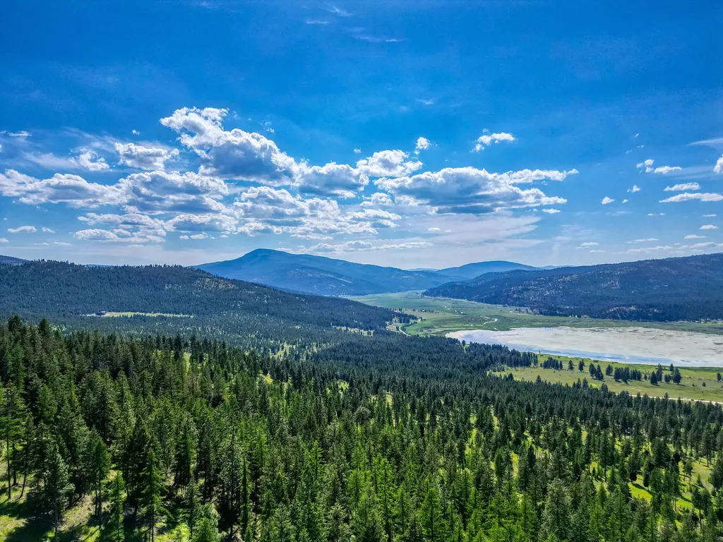 386 Racheals Meadow Lane Kila MT 59920