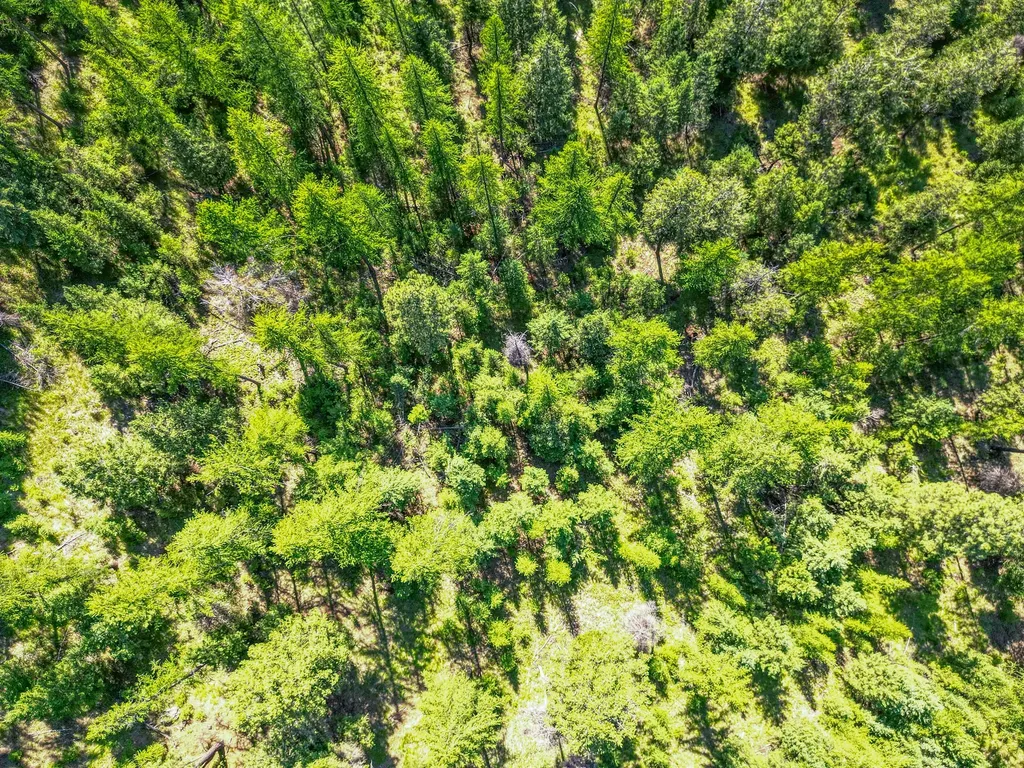 386 Racheals Meadow Lane Kila MT 59920