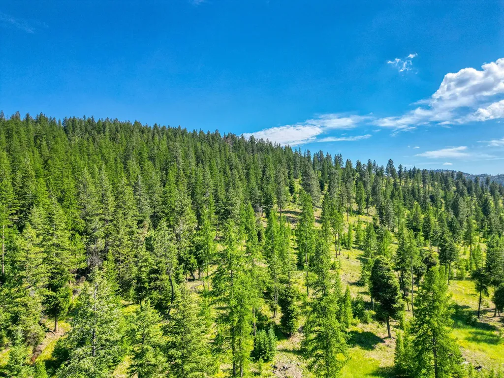 386 Racheals Meadow Lane Kila MT 59920