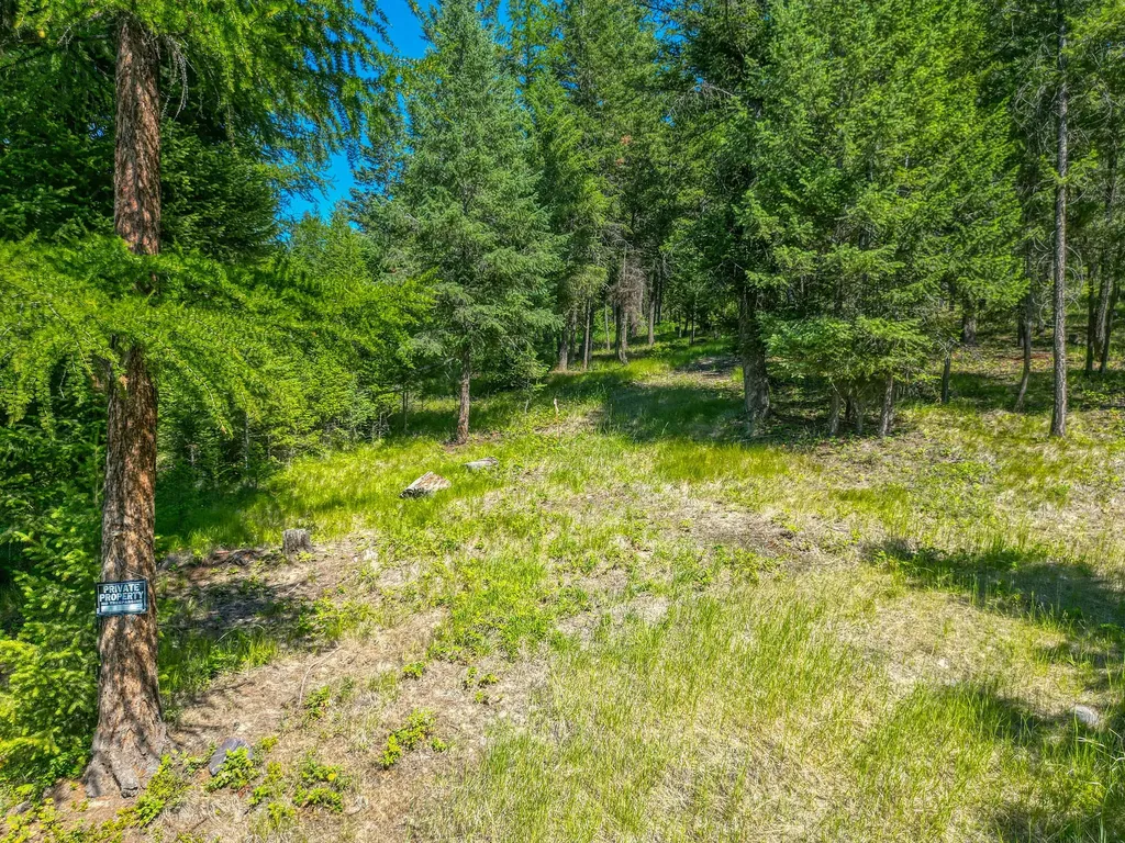 386 Racheals Meadow Lane Kila MT 59920