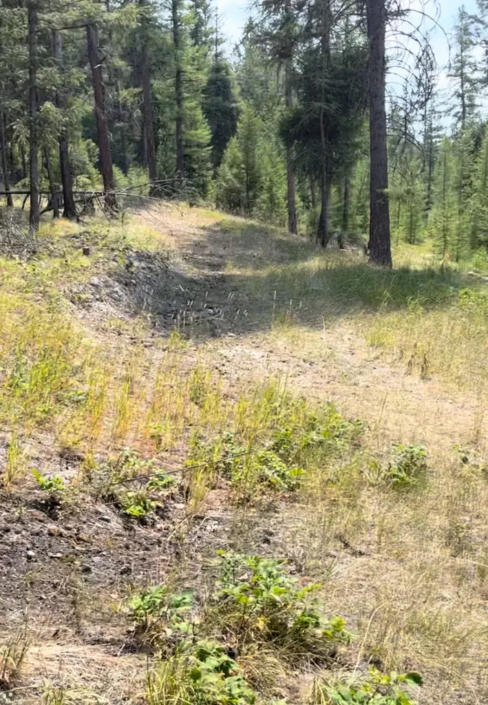 386 Racheals Meadow Lane Kila MT 59920