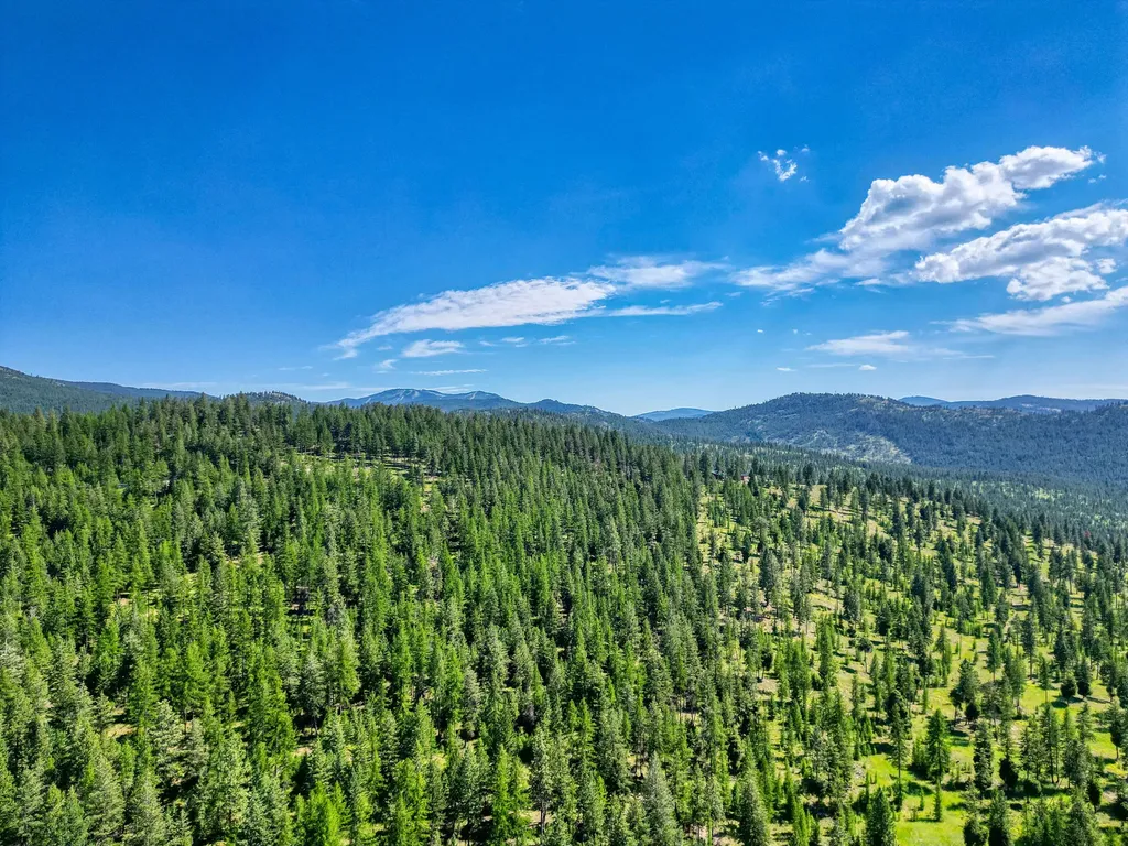 386 Racheals Meadow Lane Kila MT 59920