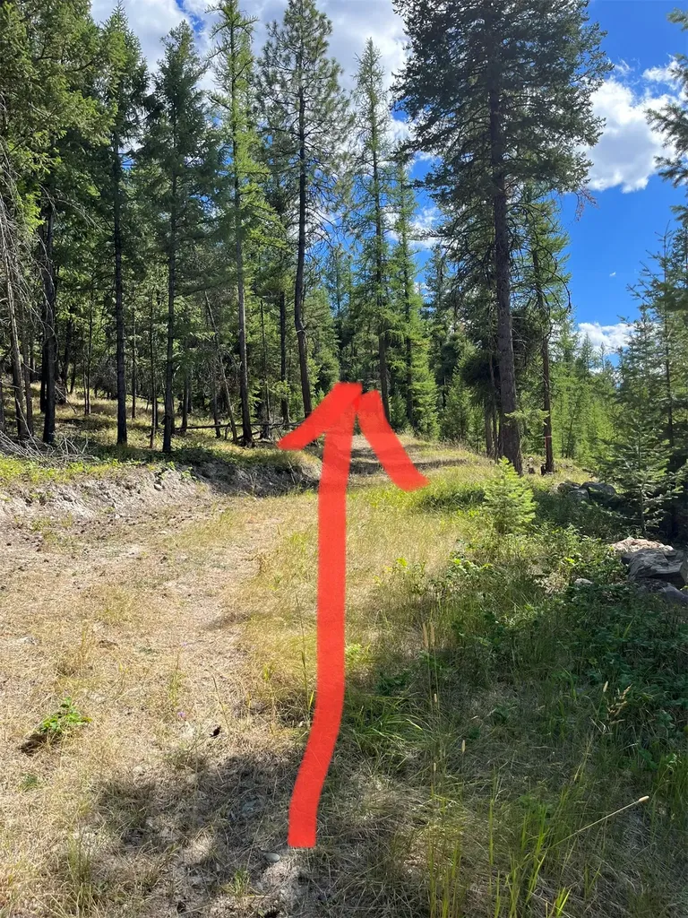 386 Racheals Meadow Lane Kila MT 59920