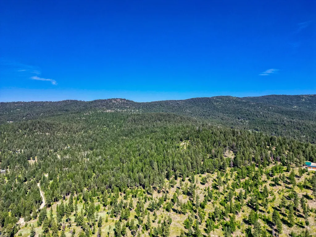 386 Racheals Meadow Lane Kila MT 59920