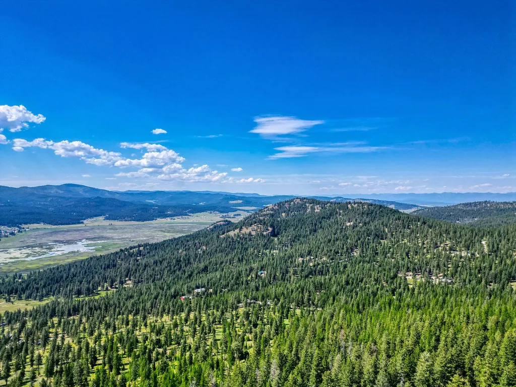386 Racheals Meadow Lane Kila MT 59920