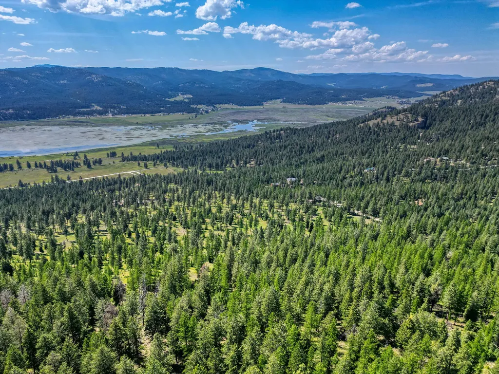386 Racheals Meadow Lane Kila MT 59920