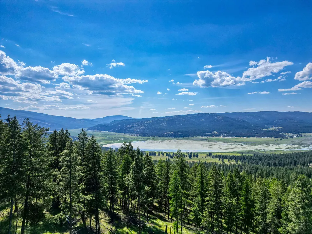 386 Racheals Meadow Lane Kila MT 59920