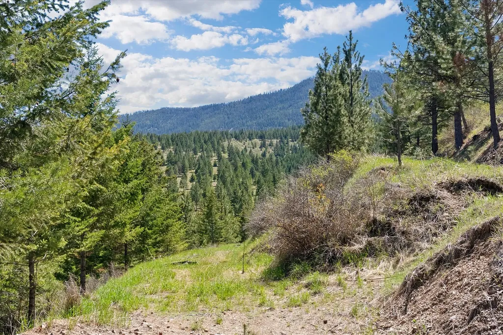 5016 Arnica Road Missoula MT 59803