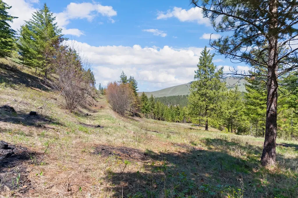 5016 Arnica Road Missoula MT 59803