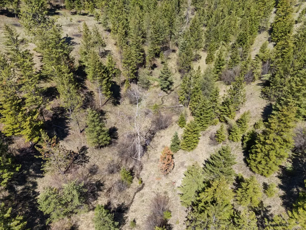 5016 Arnica Road Missoula MT 59803