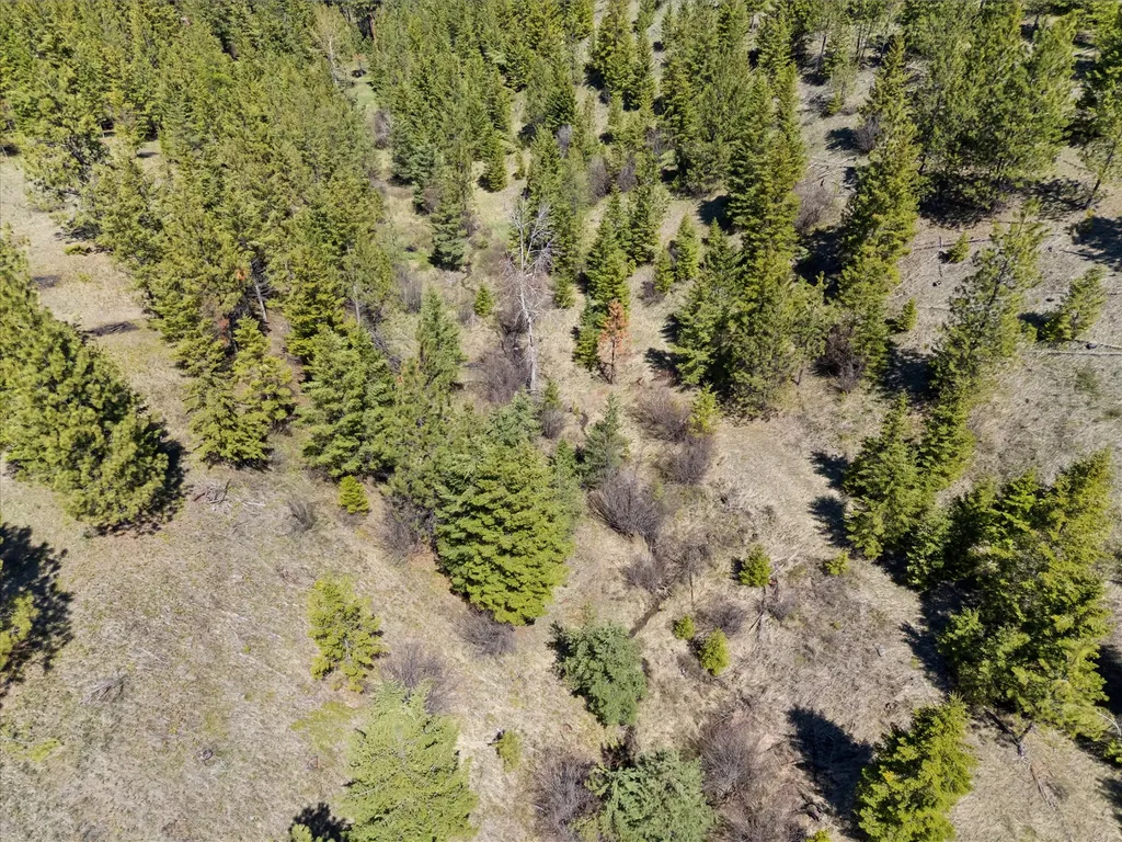 5016 Arnica Road Missoula MT 59803