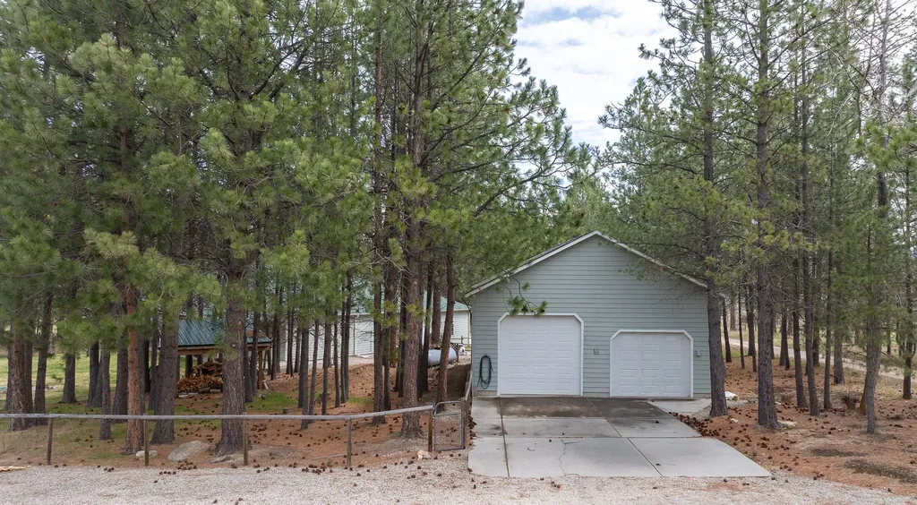 234 Bridle Trail Stevensville MT 59870