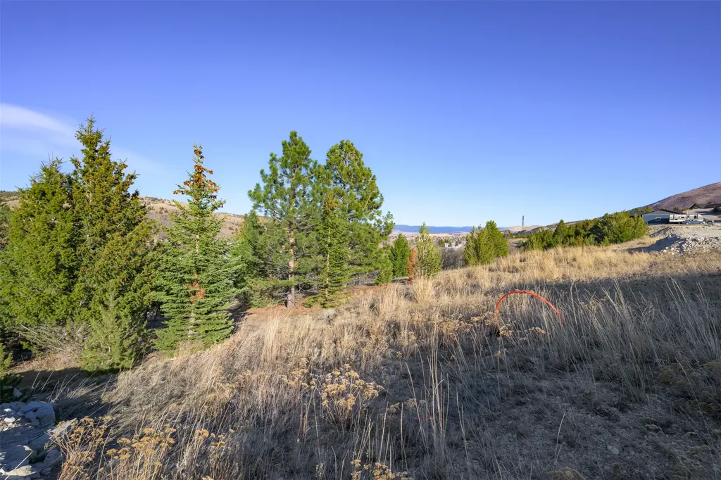 Nhn Washoe Avenue Anaconda MT 59711