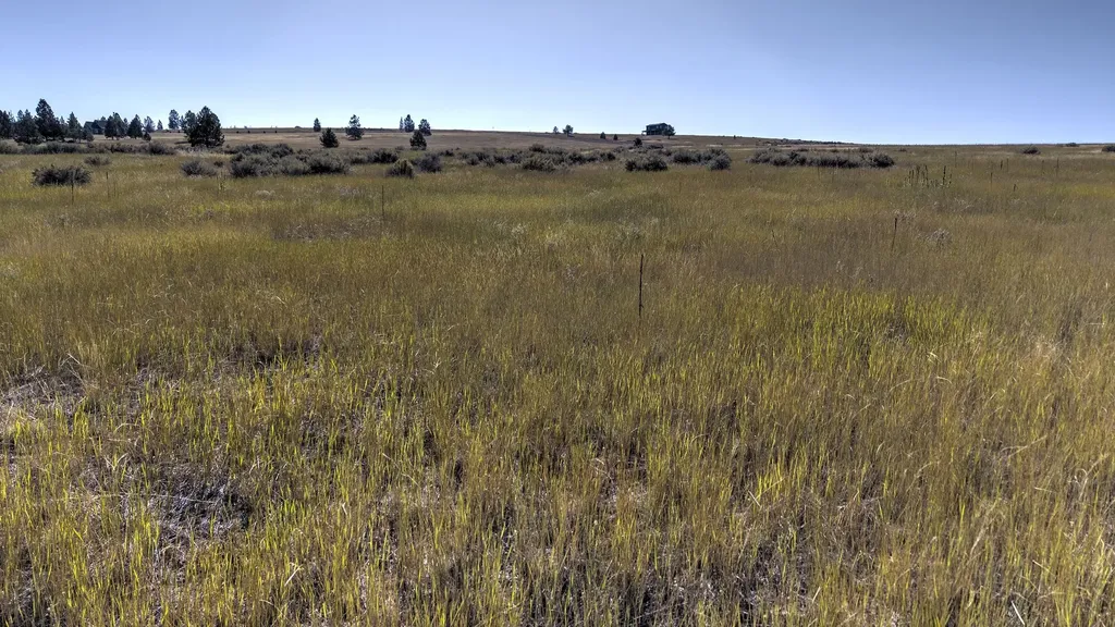 Lot 56 B Three Mile Drive N Stevensville MT 59870