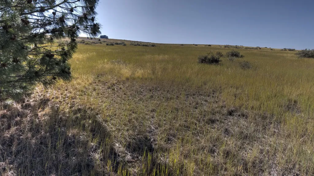 Lot 56 B Three Mile Drive N Stevensville MT 59870