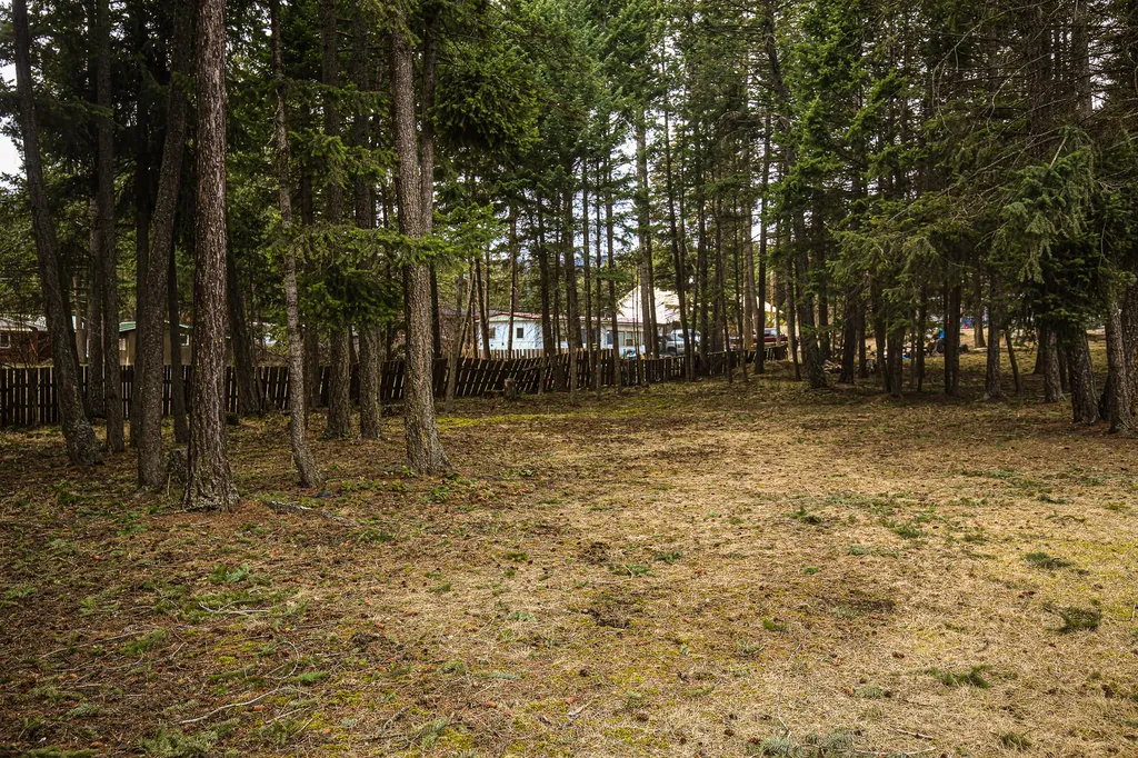304 Adams Street Lakeside MT 59922
