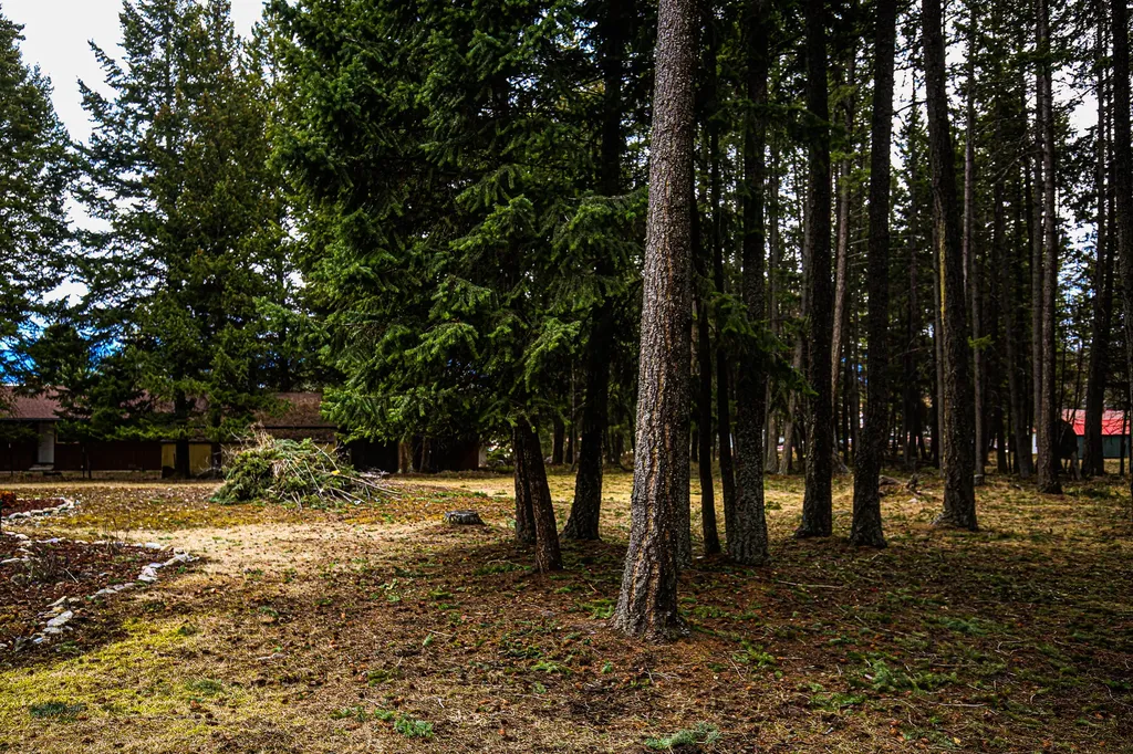 304 Adams Street Lakeside MT 59922