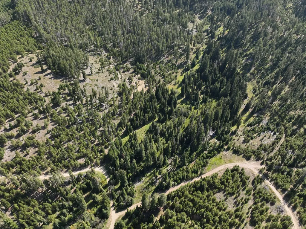 Nhn Bell Trail - Young America Lode Philipsburg MT 59858