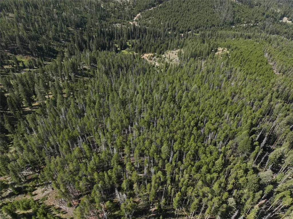Nhn Bell Trail - Young America Lode Philipsburg MT 59858