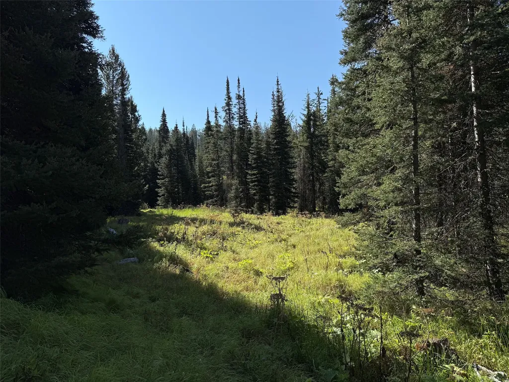Nhn Bell Trail - Young America Lode Philipsburg MT 59858