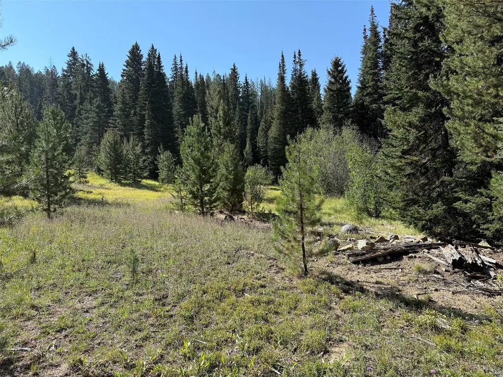 Nhn Bell Trail - Young America Lode Philipsburg MT 59858