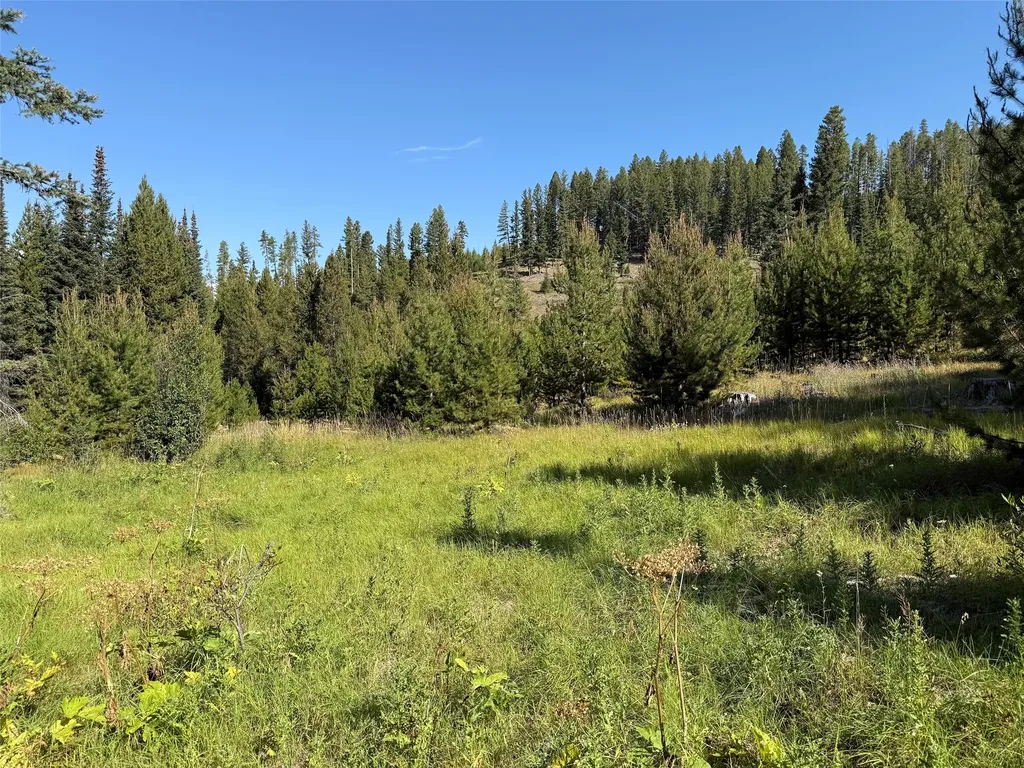 Nhn Bell Trail - Young America Lode Philipsburg MT 59858