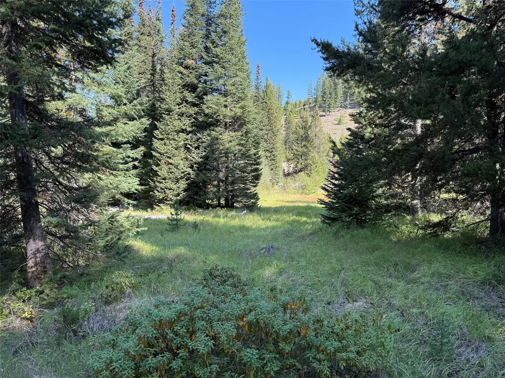 Nhn Bell Trail - Young America Lode Philipsburg MT 59858
