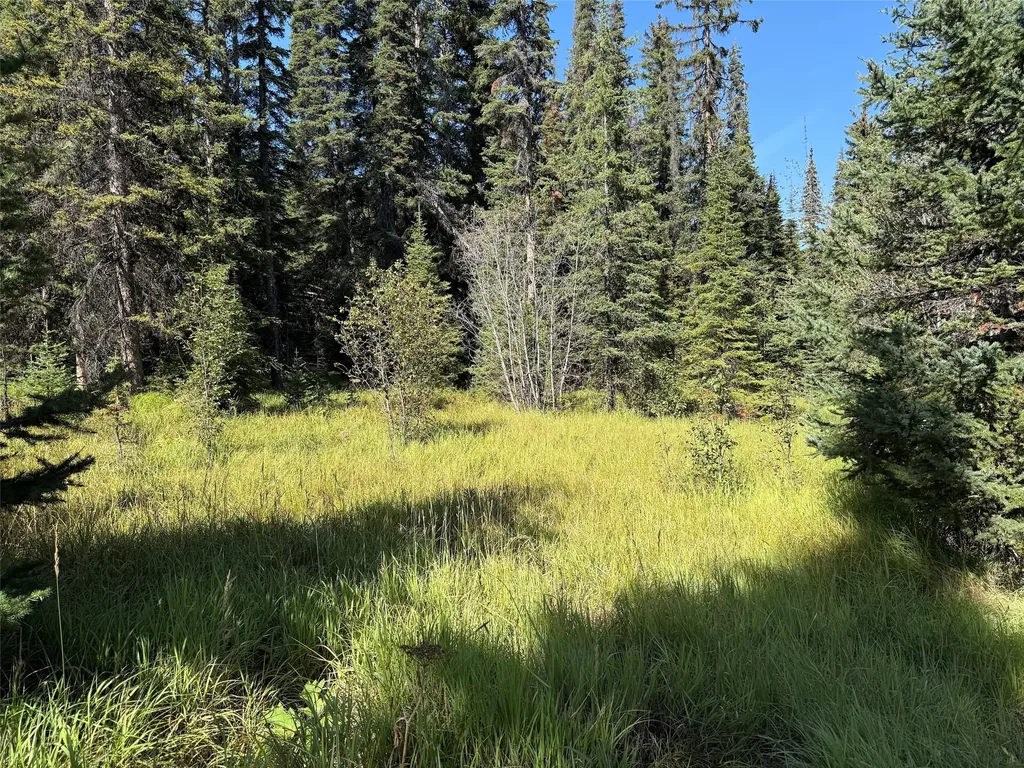 Nhn Bell Trail - Young America Lode Philipsburg MT 59858