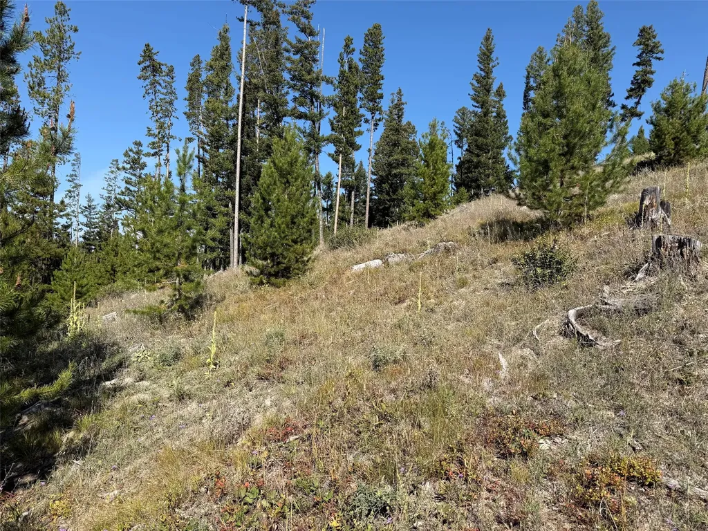 Nhn Bell Trail - Young America Lode Philipsburg MT 59858