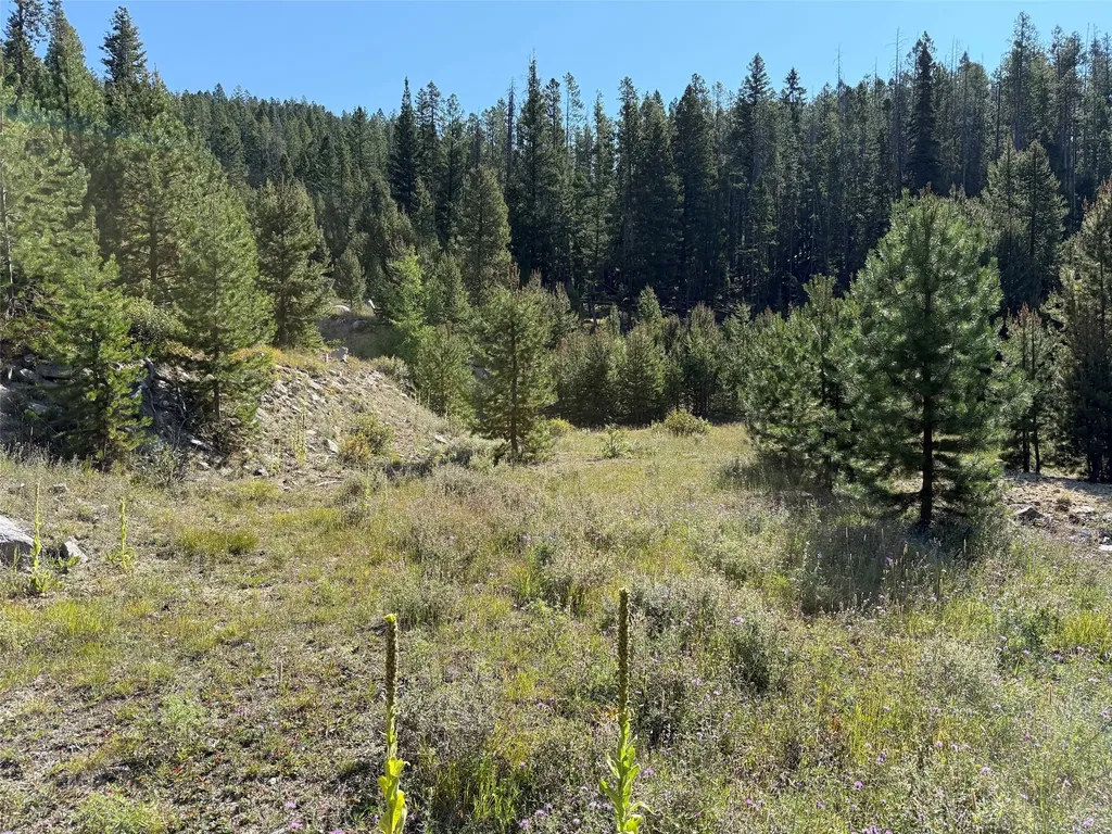 Nhn Bell Trail - Young America Lode Philipsburg MT 59858