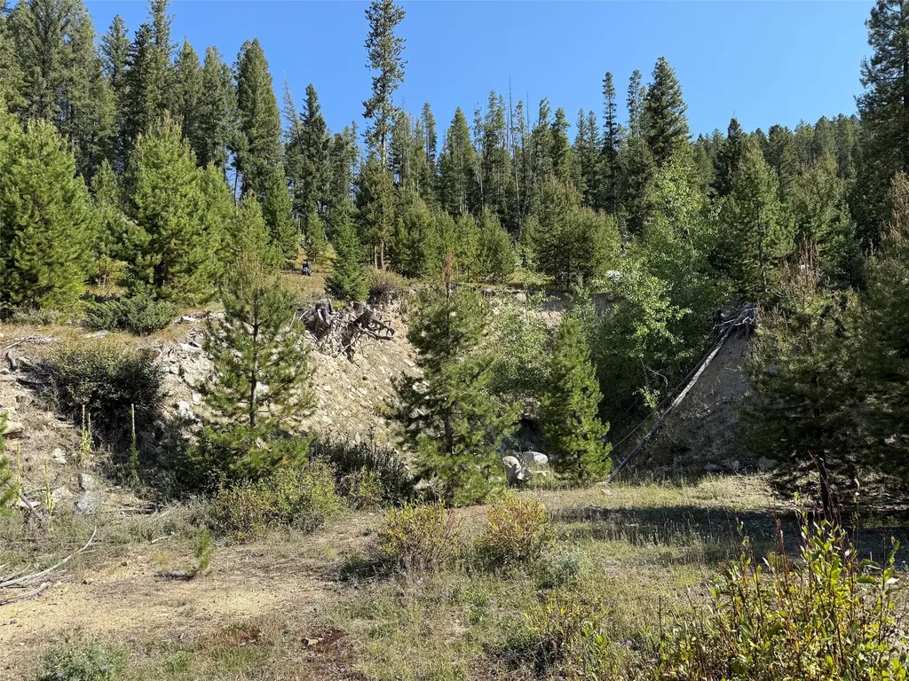 Nhn Bell Trail - Young America Lode Philipsburg MT 59858