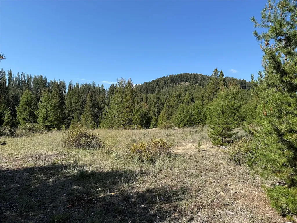 Nhn Bell Trail - Young America Lode Philipsburg MT 59858