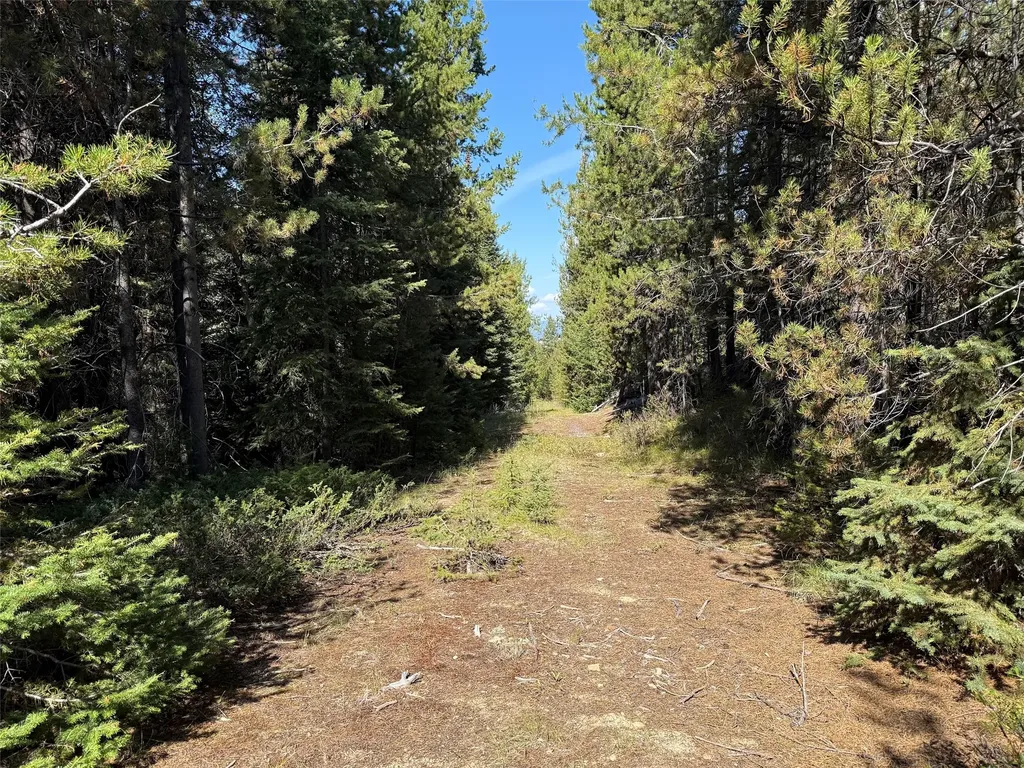 Nhn Bell Trail - Young America Lode Philipsburg MT 59858