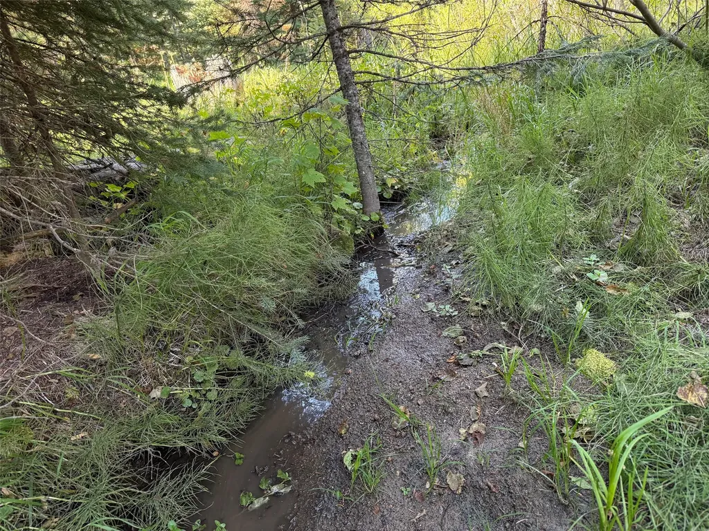 Nhn Bell Trail - Young America Lode Philipsburg MT 59858