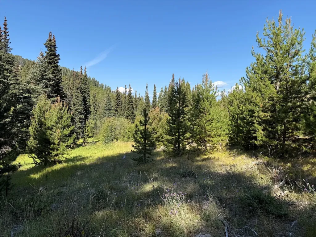 Nhn Bell Trail - Young America Lode Philipsburg MT 59858