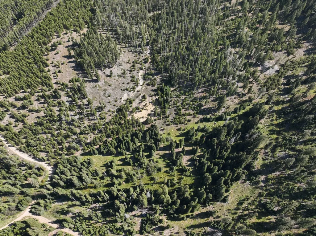Nhn Bell Trail - Young America Lode Philipsburg MT 59858